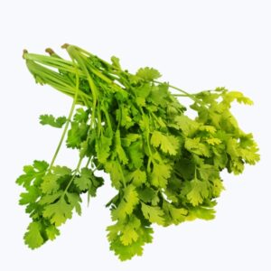 Coriander Leaves हरा धनिया पत्ता (Hara Dhaniya Patta) - 100 Gram