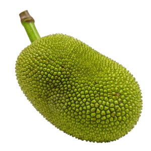 Jackfruit कटहल (Katahal) 250 Gram.