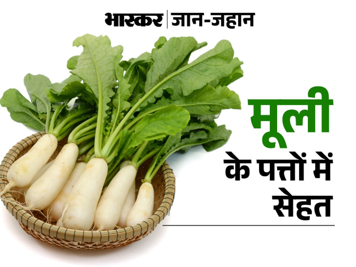 Radish मूली (Mooli) - 250 Gram.