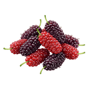 Mulberry  शहतूत (Shahtoot)